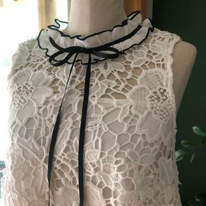 Kensie Lace shift dress NWT